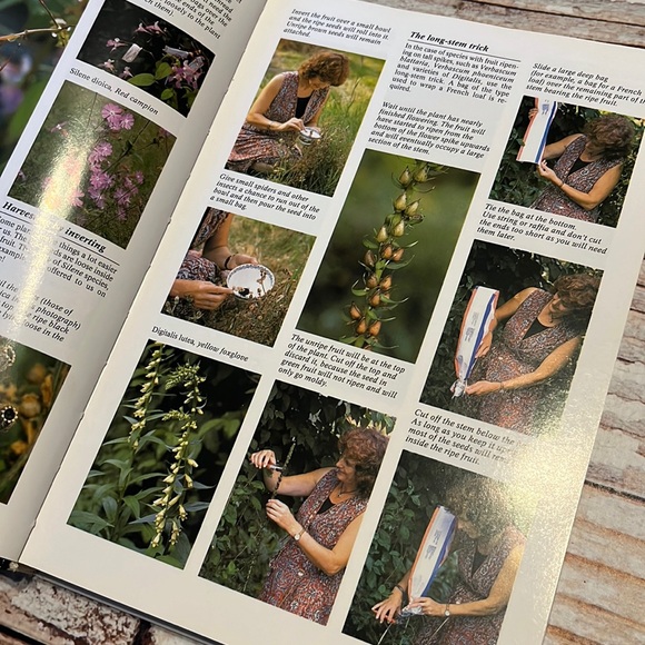 The Complete Encyclopedia Of Summerflowers - Picture 3 of 11